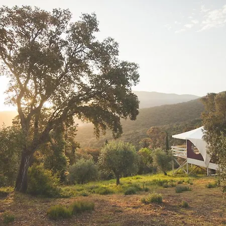 Be Vedetta Luxury Glamping - Adult Only *